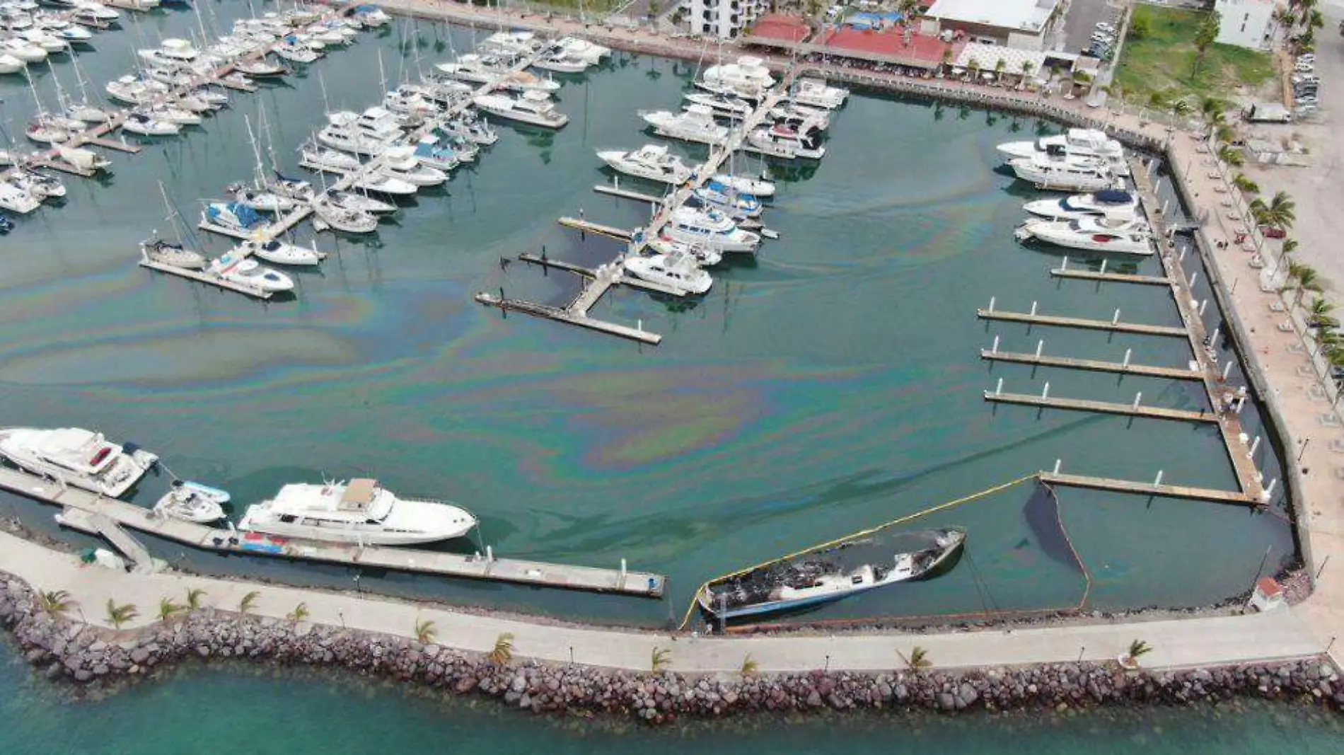 Bahía La Paz Contaminación